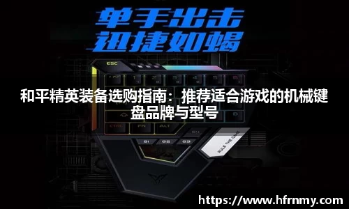 球王会体育