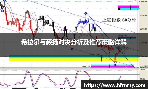 希拉尔与赖扬对决分析及推荐策略详解