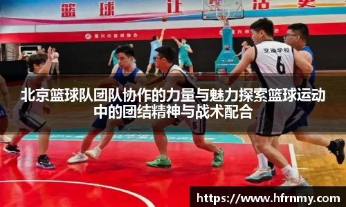 球王会官网